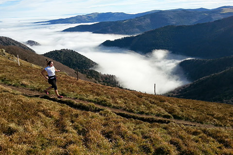 آب و هوای Hautes-Vosges