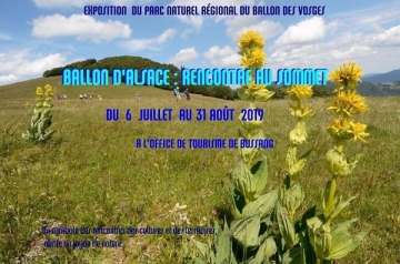 EXPOSITION : BALLON D'ALSACE, RENCONTRE AU SOMMET