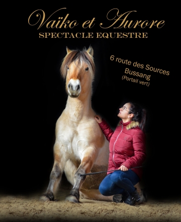 SPECTACLE EQUESTRE